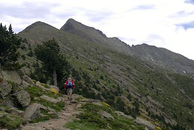 Le Canigou depuis les Cortalets - Grande traversée des Pyrénées - France