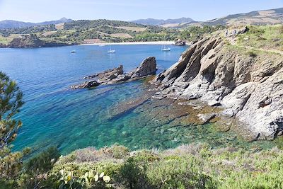 Banyuls-sur-Mer - Pyrénées Orientales - France