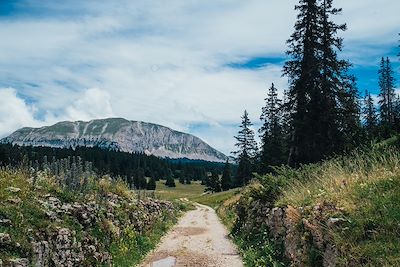 Voyage Alpes du Nord