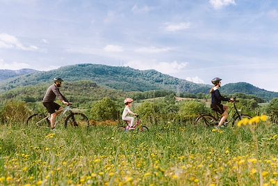 Voyage Massif Central