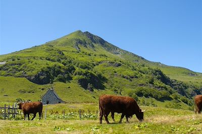 Traversée du Massif Central : du Cantal à l'Aubrac - France