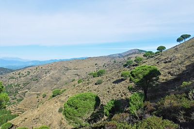 Hauteurs de Llançà - Catalogne - Espagne