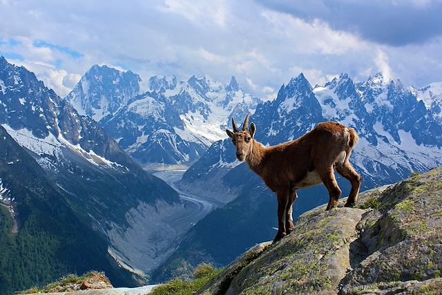 Trek France Alpes du Nord