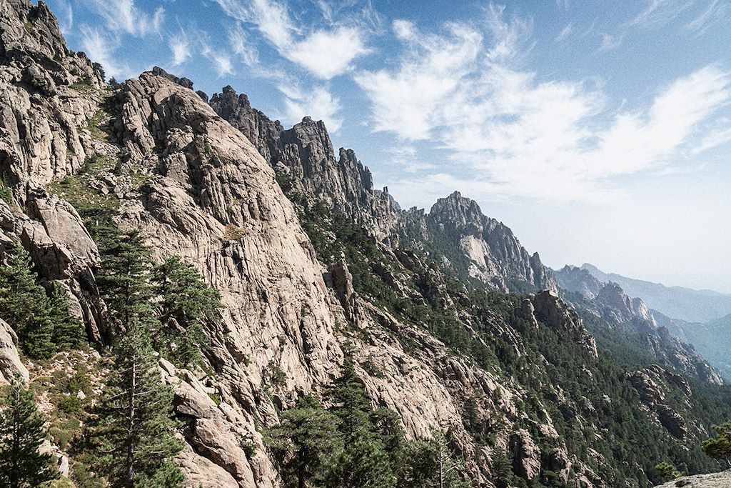 Trek Corse