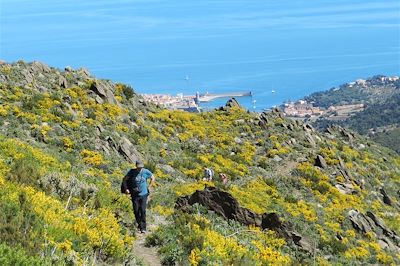 Randonnée sur les hauteurs de Collioure - France