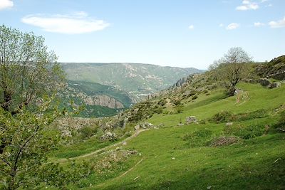 Les Cévennes - France