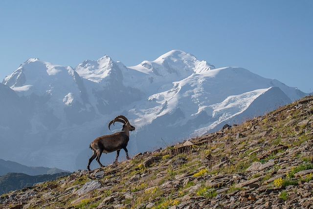 Trek France Alpes du Nord