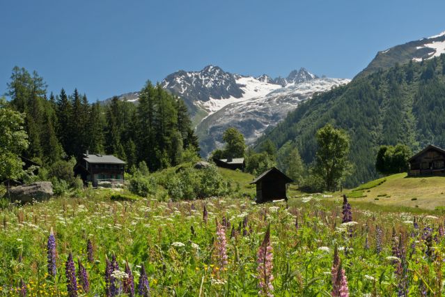 Voyage Tour du Mont-Blanc en hôtel