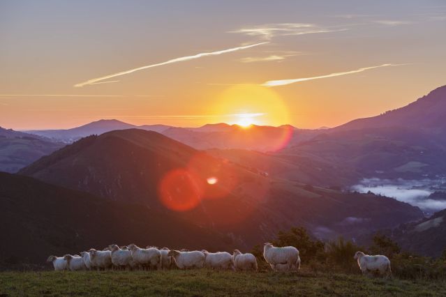 Voyage Charme et confort du Pays basque
