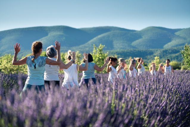 Cours de yoga - Provence - France