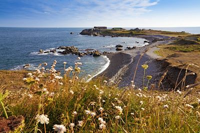 © Chris George/Guernsey Images - Guernesey - Royaume-Uni Guernesey - Royaume-Uni