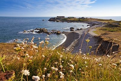 © Chris George/Guernsey Images - Guernesey - Royaume-Uni Guernesey - Royaume-Uni