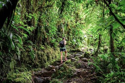 © Paul / Adobe Stock - Randonnée - Guadeloupe Randonnée - Guadeloupe
