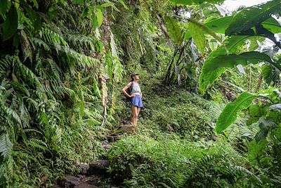 © Paul / Adobe Stock - Randonnée - Guadeloupe Randonnée - Guadeloupe