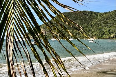 © Christ971 / Getty Images - Plage de Guadeloupe Plage de Guadeloupe