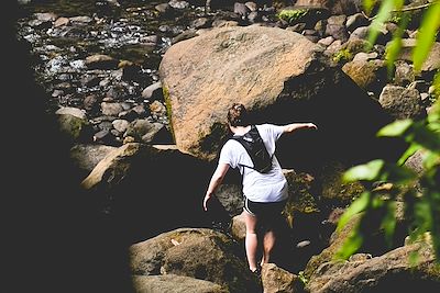 © Nick Dunlap / Unsplash - Chutes du Carbet - Guadeloupe Chutes du Carbet - Guadeloupe