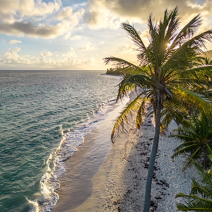 L'île Papillon en toute liberté