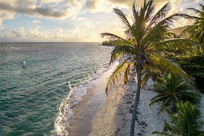 L'île Papillon en toute liberté
