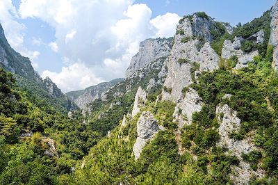 Gorges d'Enipeas - Olympe - Grèce