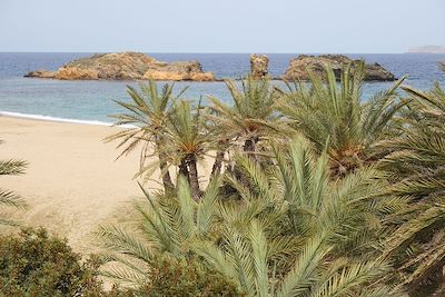 © willy matheisl / Alamy / Hemis - Palmeraie de Vai - Crète - Grèce Palmeraie de Vai - Crète - Grèce
