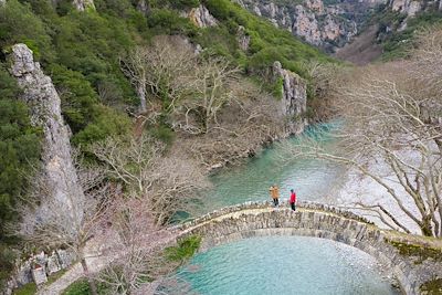 Aristi Mountain Resort Hôtel - Zagoria - Grèce