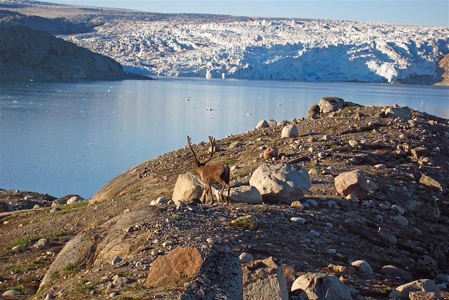 Kayak et canoë : En kayak, des fjords à la calotte polaire Voyage En kayak, des fjords à la calotte polaire