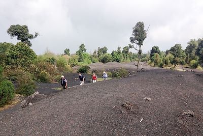 Sur le volcan Pacaya - Guatemala