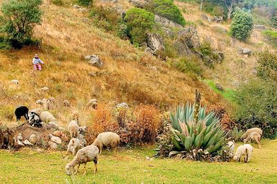 Sierra de los Cuchumatanes - Guatemala