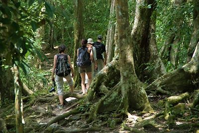 © Anne-Laure Capitaine - Le site maya Tikal - Guatemala Le site maya Tikal - Guatemala