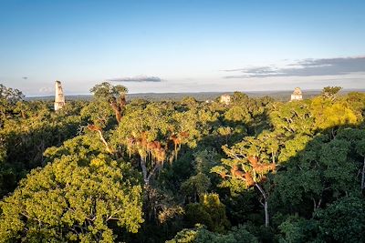 Tikal - Guatemala
