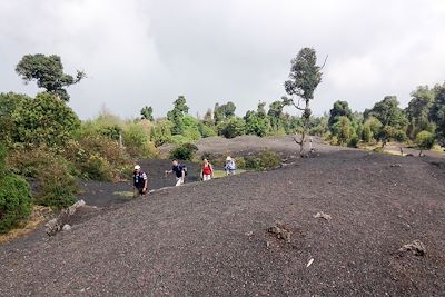 © David Dhez - Sur le volcan Pacaya - Guatemala Sur le volcan Pacaya - Guatemala