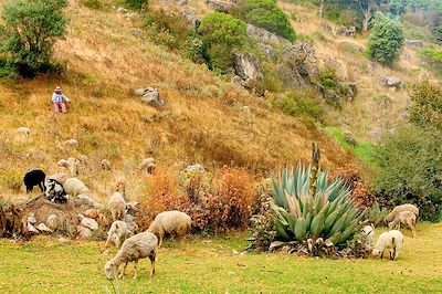 © Al Argueta / Alamy / Hemis - Sierra de los Cuchumatanes - Guatemala Sierra de los Cuchumatanes - Guatemala