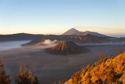 Voyage Java (Indonésie)