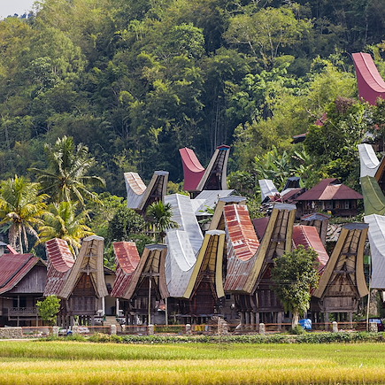 Rencontres Vietnam