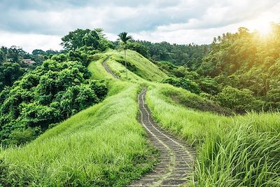 © Nikada/Istock - Sentier à Ubud, Bali - Indonésie Sentier à Ubud, Bali - Indonésie