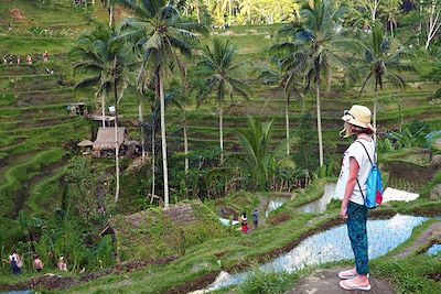 Voyage Bali en famille, entre Ubud et les îles Gili 1