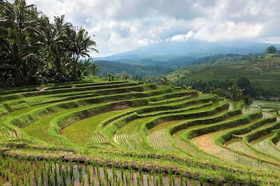 Voyage Bali, rizières, mer et volcans 1