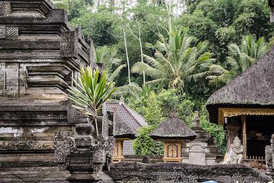 © Emilie Delfaut - Temples à Bali - Indonésie Temples à Bali - Indonésie