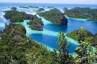 Les Raja Ampat, paradis du bout du monde 