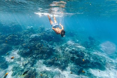 Snorkeling en Indonesie