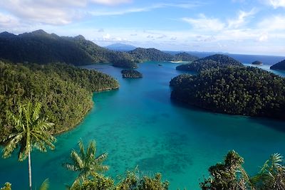 Îles Raja Ampat - Indonésie