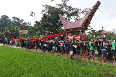 Cérémonie funéraire dans un village toraja - Sulawesi - Indonésie 