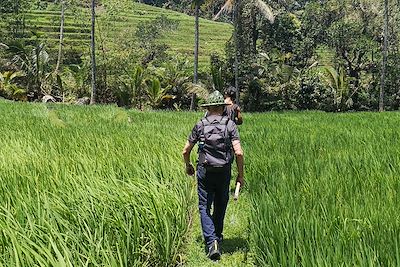 © Aurélie Walravens - Trek Rizières de Belimbing - Bali - Indonésie Trek Rizières de Belimbing - Bali - Indonésie