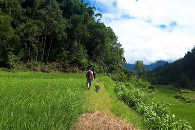 © Marie Joffres - Randonnée dans le pays toraja - Sulawesi - Indonésie Randonnée dans le pays toraja - Sulawesi - Indonésie