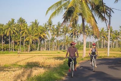 © Space_Cat / Getty Images - Vélo - Indonésie Vélo - Indonésie