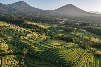 © Putu Sayoga/REDUX-REA - Jatiluwih - Bali - Indonésie Jatiluwih - Bali - Indonésie