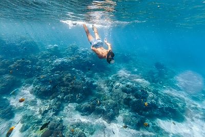 Snorkeling en Indonesie