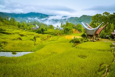 Randonnée Indonésie