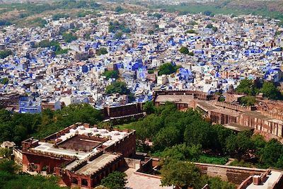 Jodhpur - Rajasthan - Inde