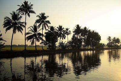 L'Inde du Sud, de Pondichéry à Cochin